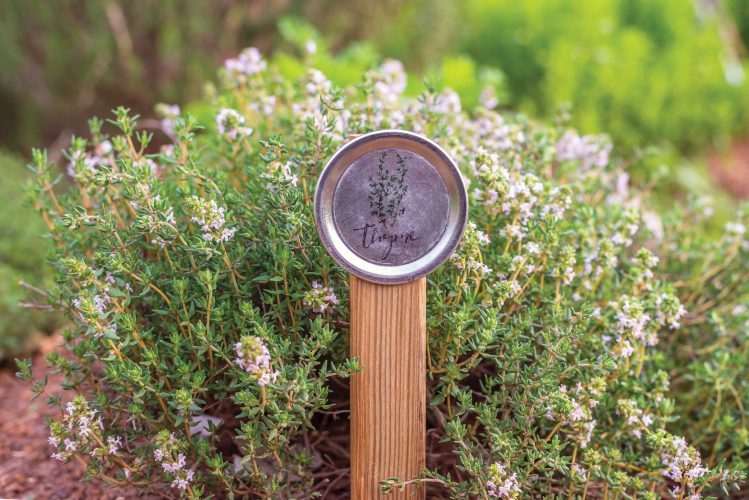 DIY Garden Projects